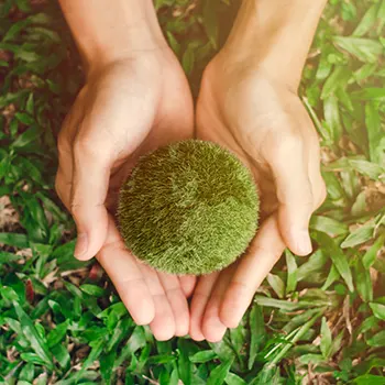 Conservation of family units