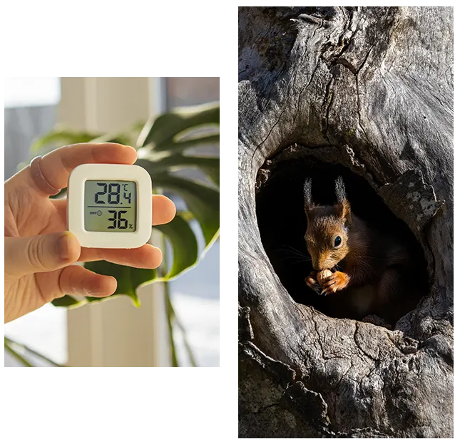 Natural environments and controlled living spaces
